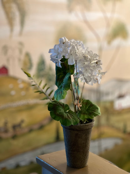 14" POTTED GERANIUMS