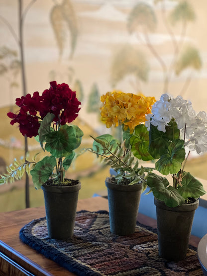 14" POTTED GERANIUMS