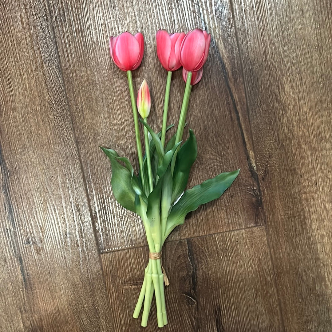 Realistic Short Tulips