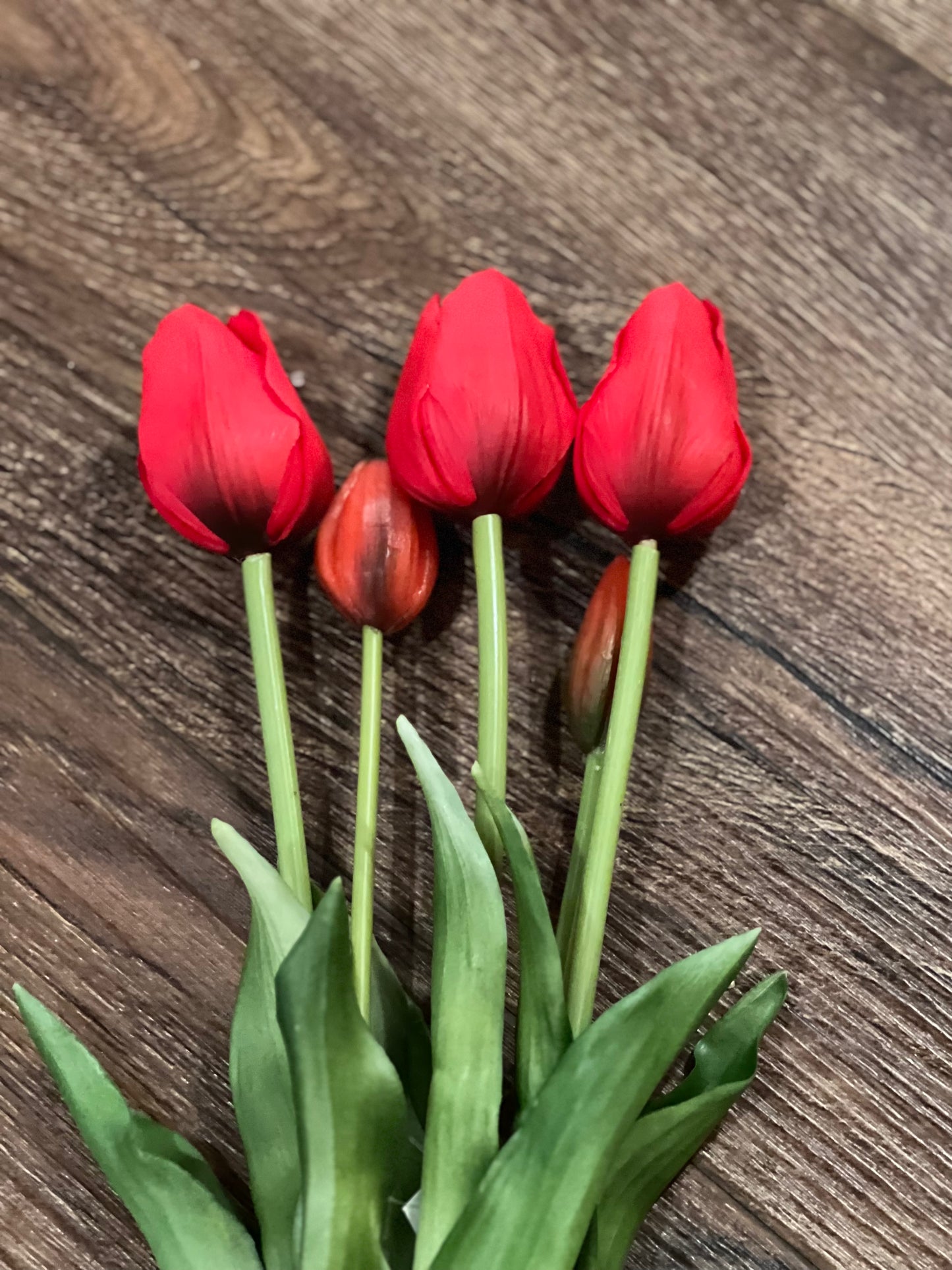 Realistic Long Tulips