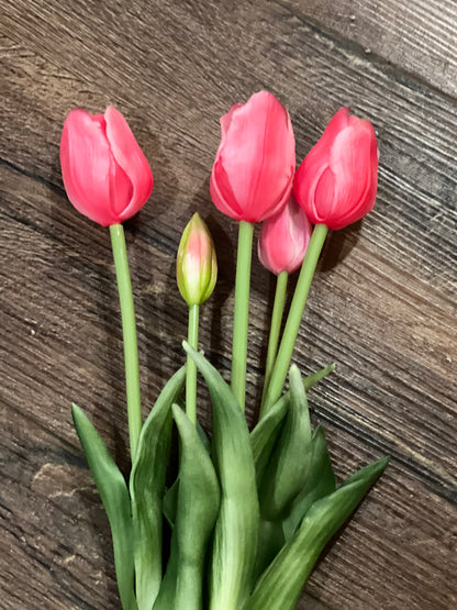 Realistic Long Tulips