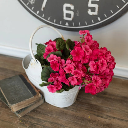 Geraniums Large Pick/Bushes
