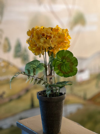 14" POTTED GERANIUMS